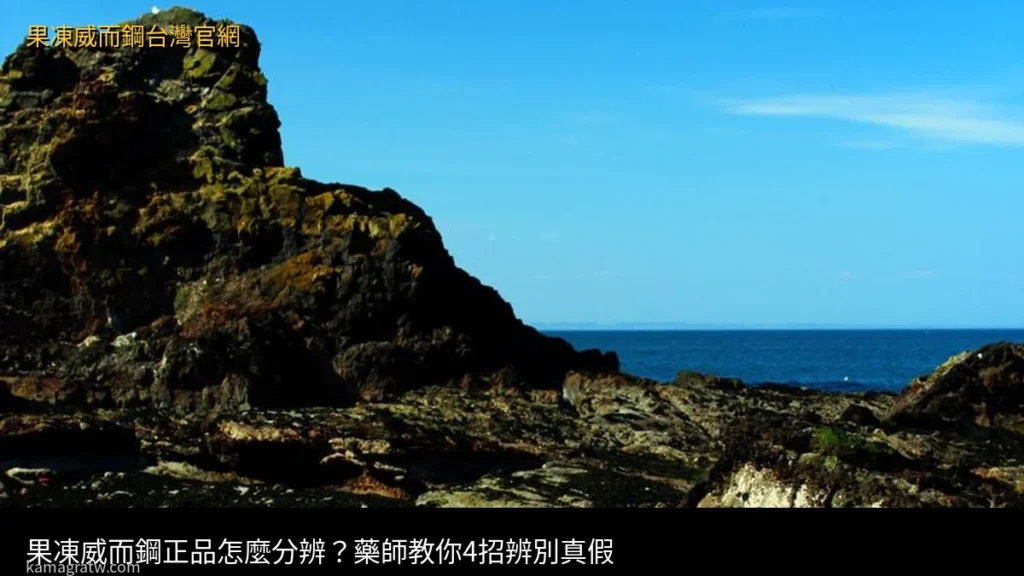 果凍威而鋼正品怎麼分辨